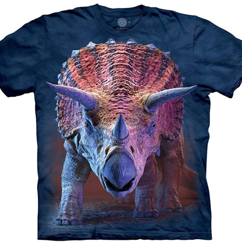 The Mountain Charging Triceratops Dinosaur Reptile Triassic Kids T-Shirt L-XL